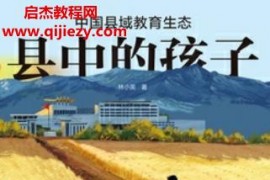 林小英著縣中的孩子中國縣域教育生態電子書pdfmobiepub格式百度網盤下載學習
