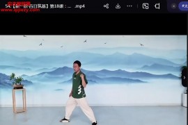 楊大衛太極拳課程合集百日筑基之太極拳一階太極拳基礎文化課楊氏85式太極拳視頻課程百度網盤下載學習