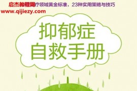 (美)莫妮克湯普森著抑郁癥自救手冊電子書pdfmobiepub格式百度網(wǎng)盤下載學習