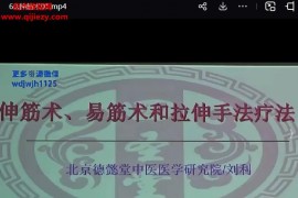 北京德懿堂中醫醫學研究院劉利伸筋術視頻課程60集百度網盤下載學習