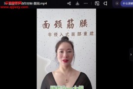龐磊龐氏筋膜面頸部張量手法第二季專業版視頻課程38集百度網盤下載學習