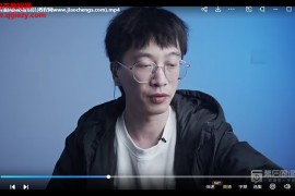 王楠音樂人抖音運營訓練營百萬粉絲知識博主首授視頻課程23集百度網盤下載學習