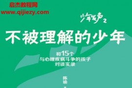陳瑜著不被理解的少年電子書pdfmobiepub格式百度網盤下載學習