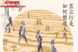 (美)杰里米德席爾瓦著人類的第一步電子書pdfmobiepub格式百度網盤下載學習