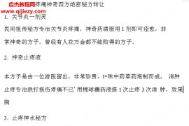 疼痛神奇四方絕密秘方轉讓電子資料百度云網盤下載學習