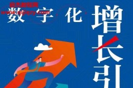 安秋明著數字化增長引擎電子書pdfmobiepub格式百度網盤下載學習