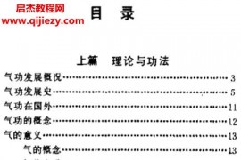 劉文清著醫(yī)療氣功精粹電子書pdf百度網(wǎng)盤下載學習