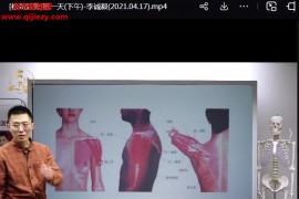 李誠毅課程合集李誠毅扁鵲神應四象針五官導引法華佗摸骨解筋術松筋活骨百度網盤下載學習