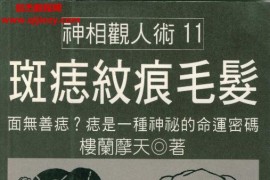 樓蘭摩天著斑痣紋痕毛發電子書pdf百度網盤下載學習