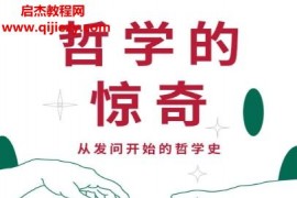 (瑞)讓娜海爾施著哲學的驚奇電子書pdfmobiepub格式百度網盤下載學習