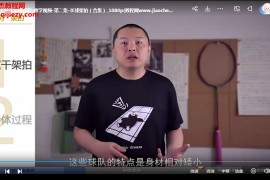 盧聰聰聰式重殺技術戰術大合集羽毛球殺球教學視頻44集百度網盤下載學習