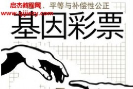 (美)?凱瑟琳佩奇哈登著基因彩票運(yùn)氣平等與補(bǔ)償性公正電子書pdfmobiepub格式百度網(wǎng)盤下載學(xué)習(xí)