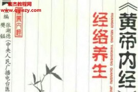 黃帝內(nèi)經(jīng)養(yǎng)生全書電子書pdf百度網(wǎng)盤下載學(xué)習(xí)