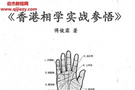 傅俊霖著香港相學實戰參悟電子書pdf百度網盤下載學習